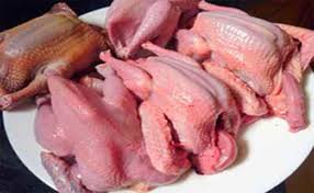 Thịt chin bồ câu - Thịt Gà Sạch Thành Lợi - Công Ty TNHH Thực Phẩm Thương Mại Thành Lợi